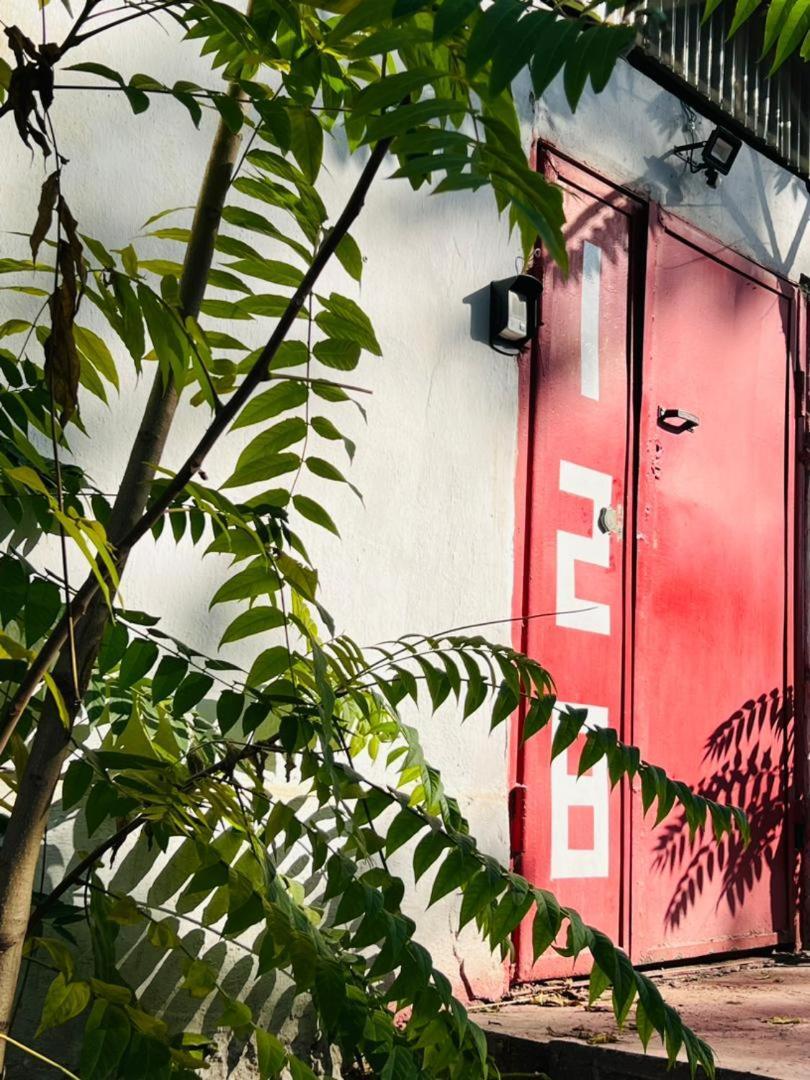 Kgb Home Hostel Bişkek Dış mekan fotoğraf